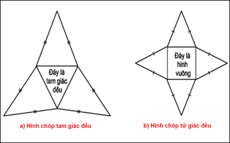 Phân biệt hình chóp tam giác đều và hình chóp tứ giác đều